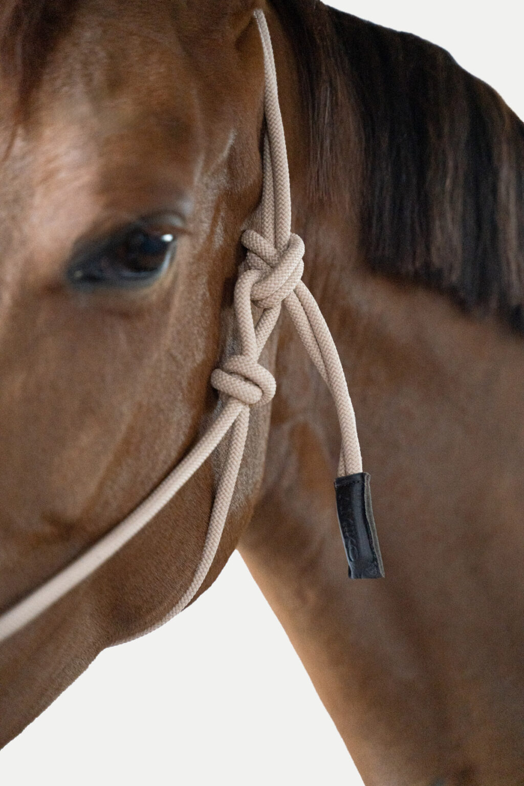 Amiko Essential Rope Halter Amiko & Friends