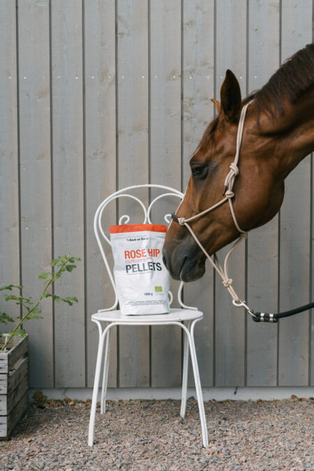 Zurück auf der Strecke, Rose Hip Pellets, 1500 g