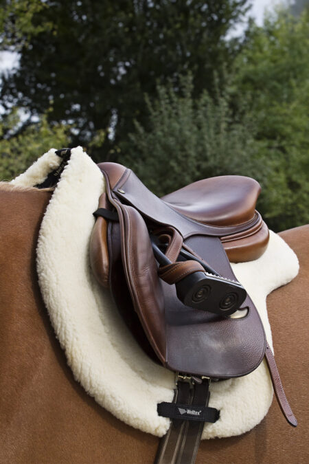 Weer op de goede weg, zadeldek Teddy