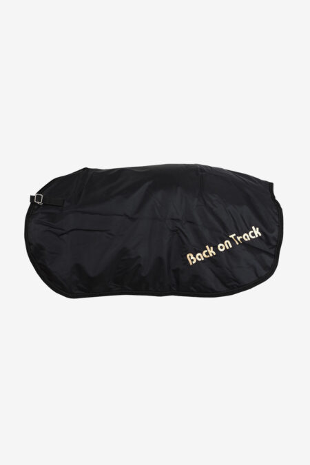 Zurück auf der Strecke, Teppich läuern