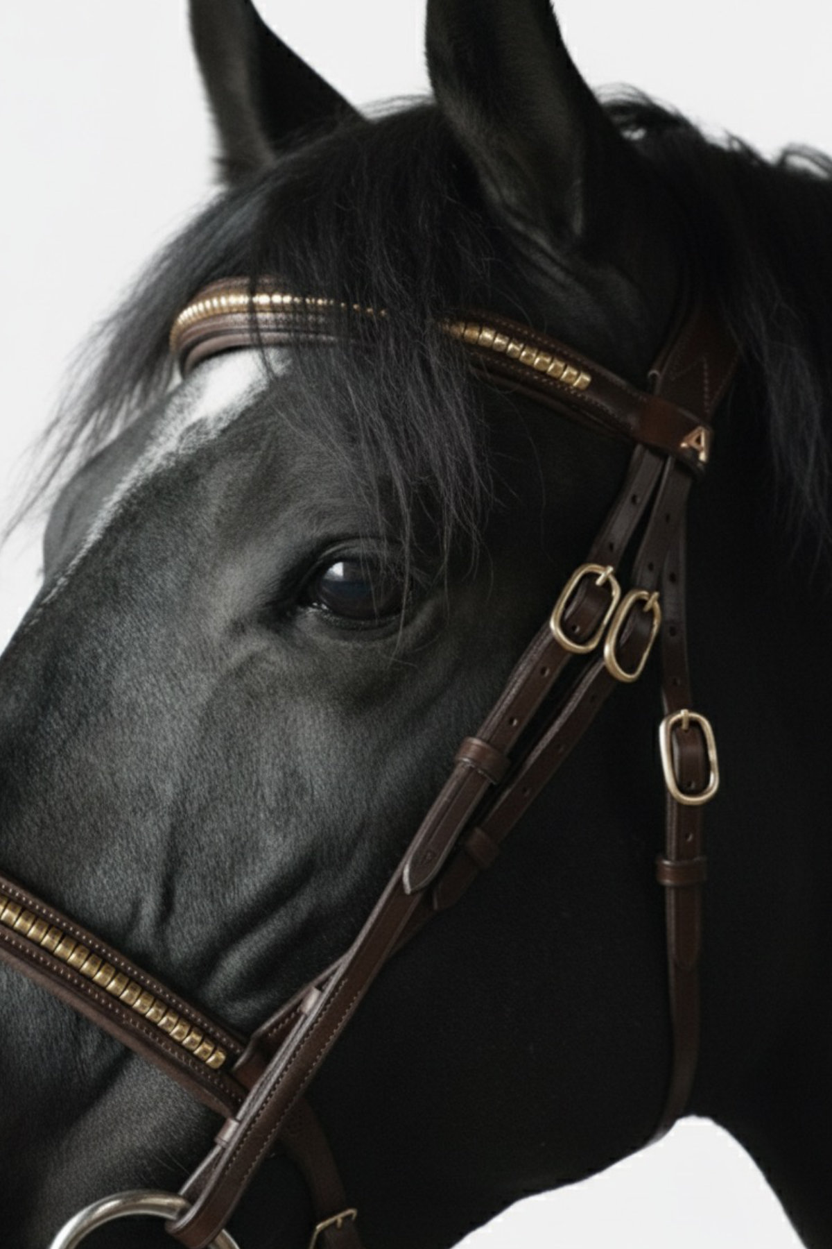 Amiko Essential Straight Clincher Browband, Havana Brown