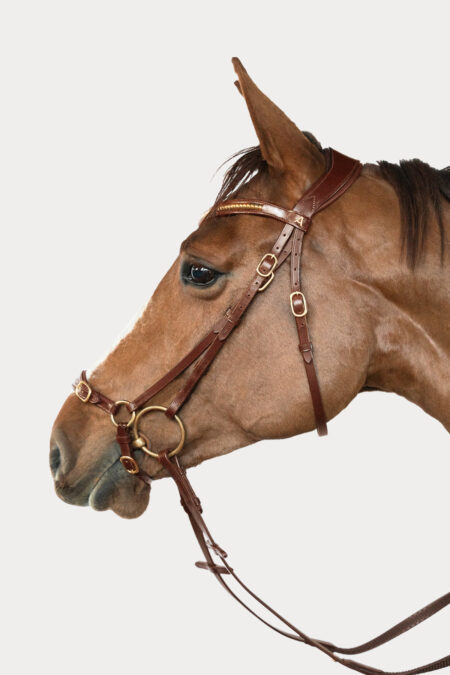 Amiko Noseband Remont, Cognac