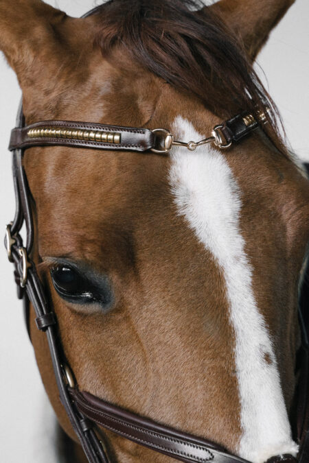 Cwell Equine Frontalino Per Cavallo Silver Clincher, Pelle Marrone Con Borchie Ottone - Misura COB 38,1 Cm