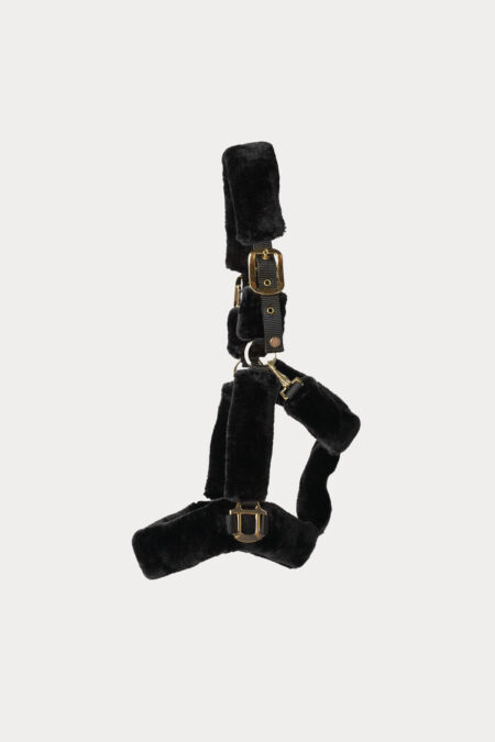 Amiko Bont Halster, Zwart