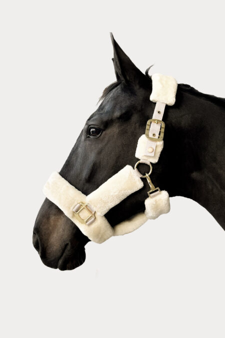 Amiko Pelzhalfter, Creme