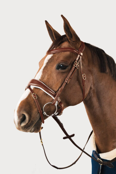 Amiko Essential Bridle Dressage, Cognac