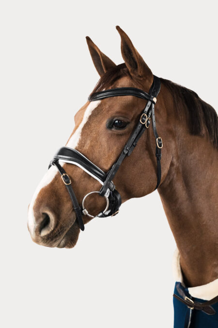 Amiko Essential Bridle Dressage, Black