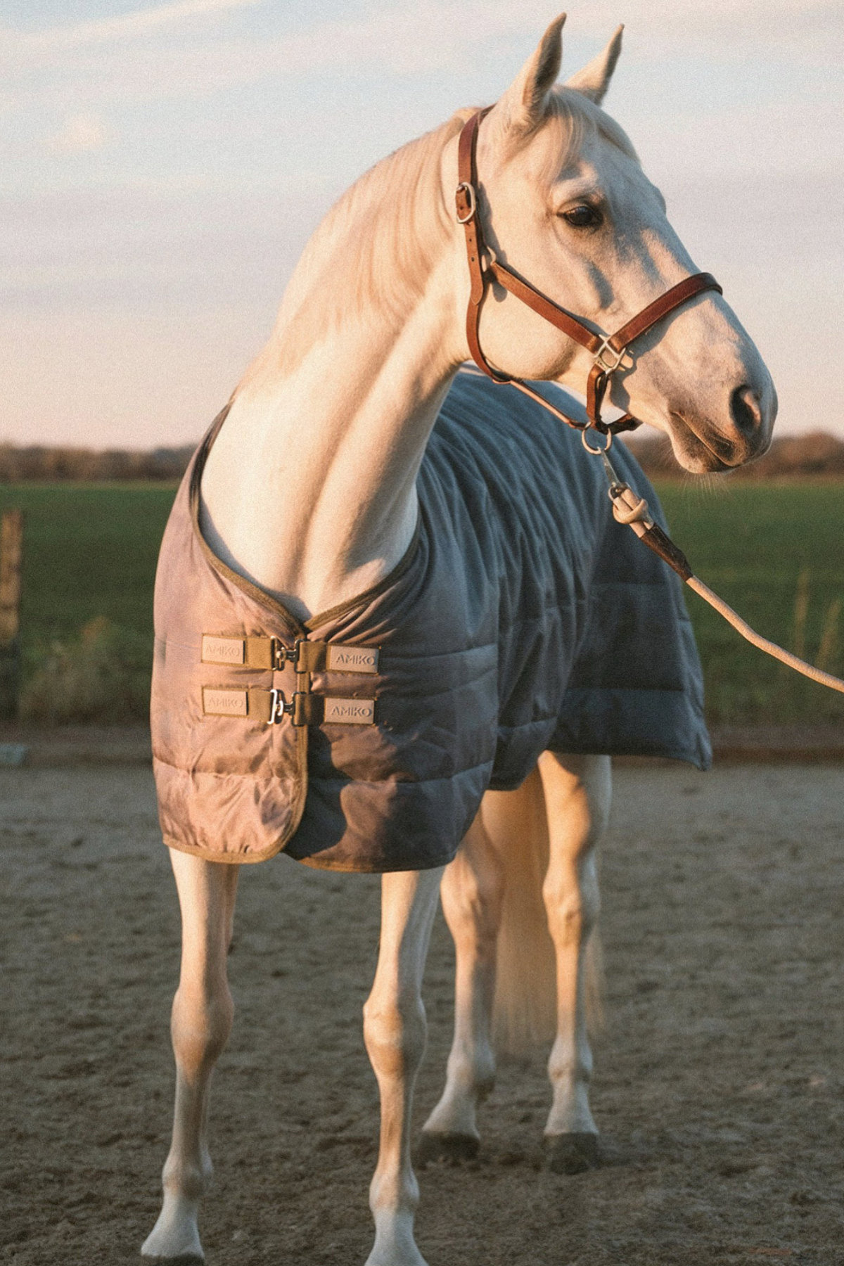 Amiko Essential Indoor Rug 150g - 500g, Grey