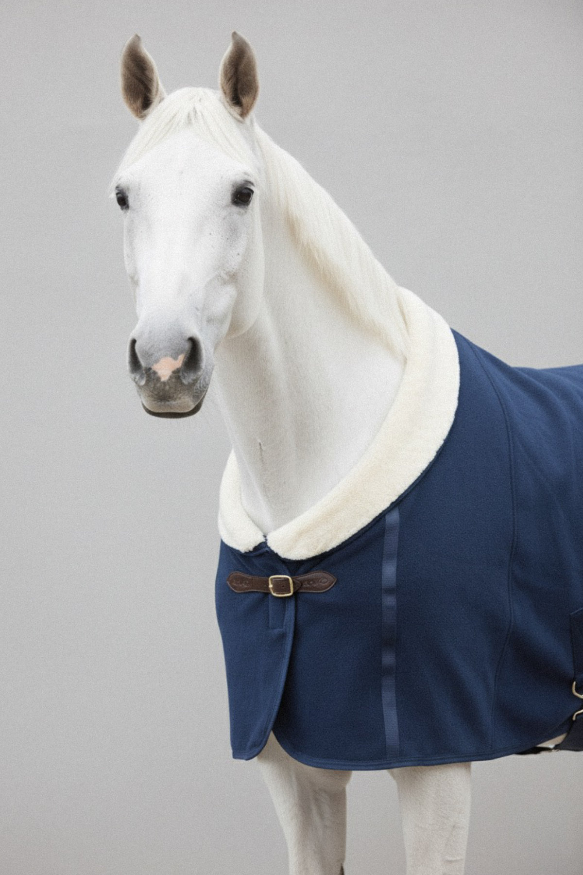 Amiko Essential Showrug with Fur, Navy