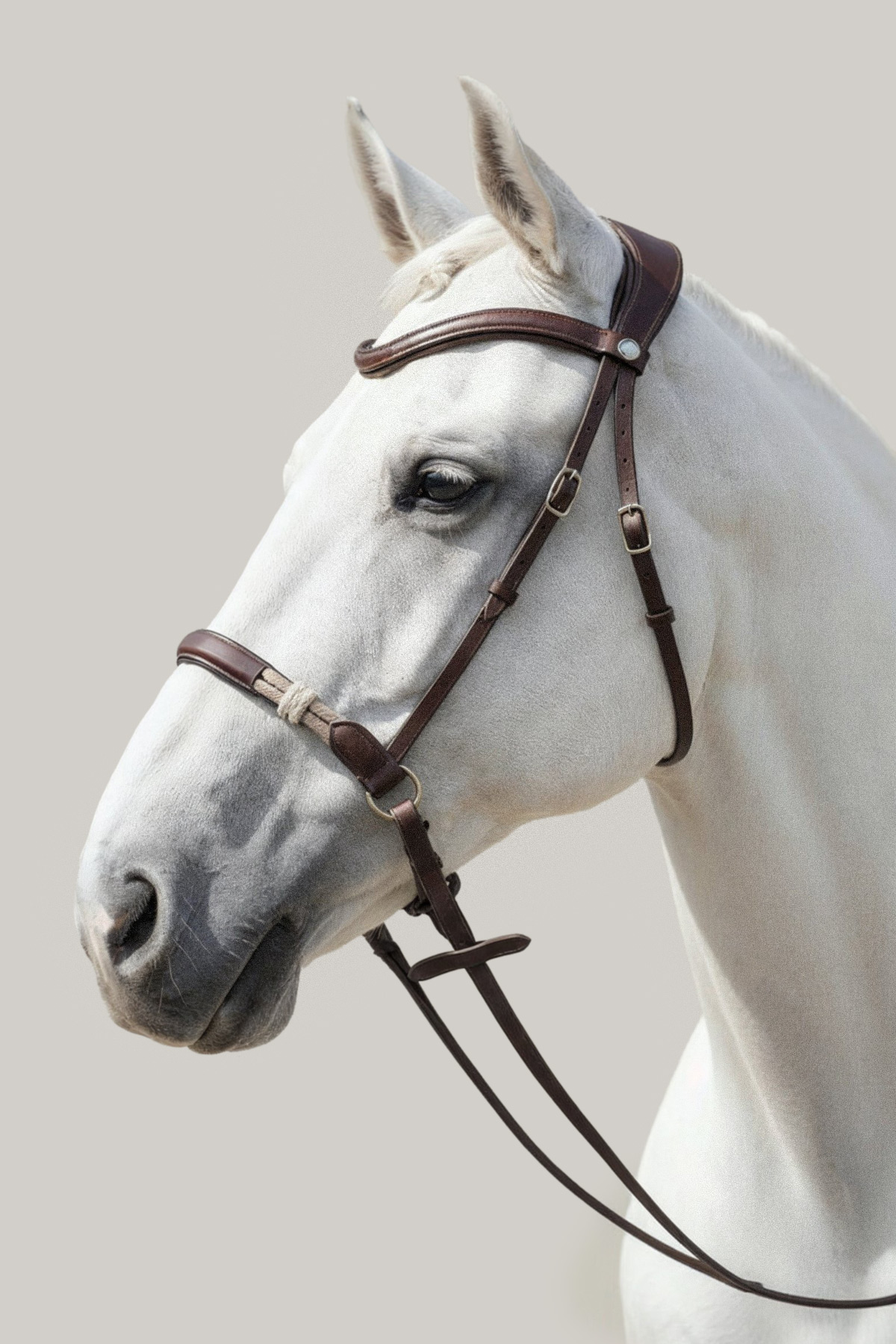Amiko Freedom Bridle, Havana Brown