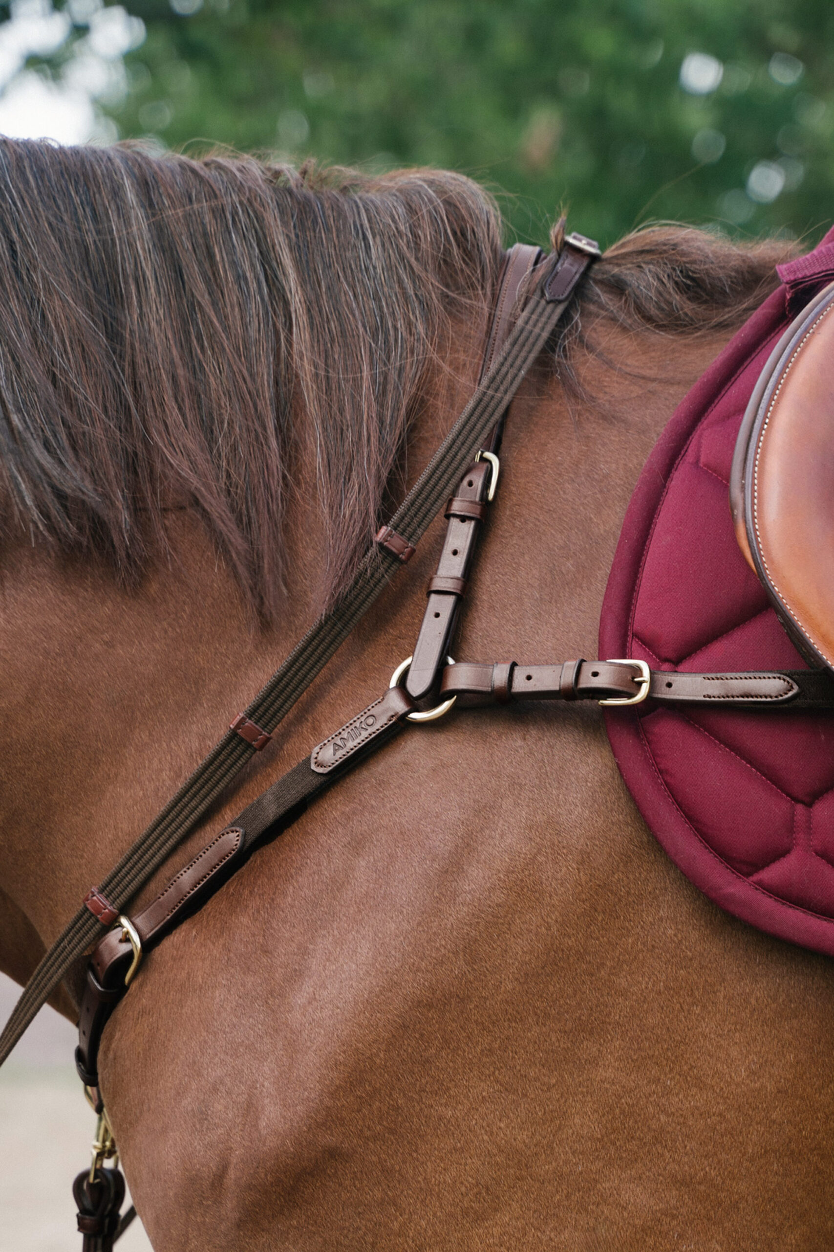 Amiko Classic Bridge Breastplate with Martingale Attachment, Havana Brown