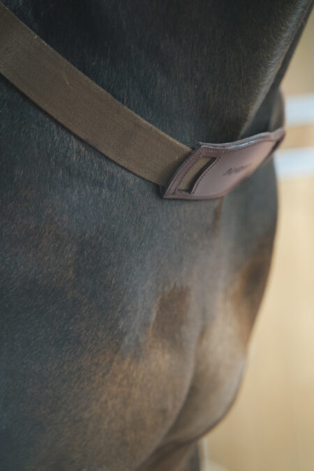 Amiko borstband met elastiek, Havana bruin