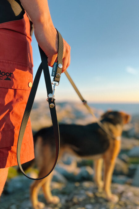 Tassmark, Rex verstellbare Mehrfachleine 2 m, Schwarz