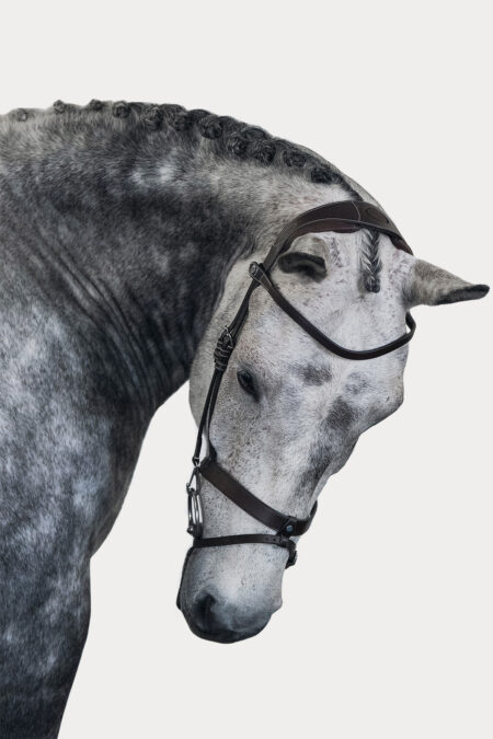 PS de Suecia, Bridle de Londres, cuero marrón