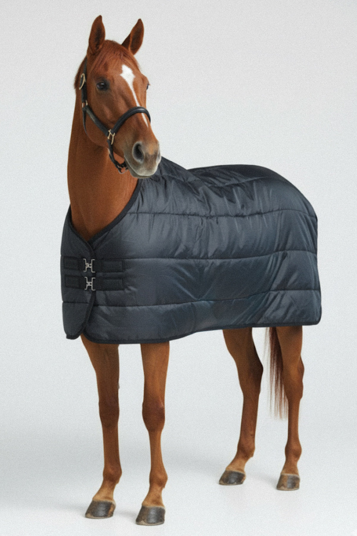 Amiko Performance Liner, Black