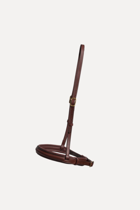 Amiko Reithalfter Hunter, Havana Brown