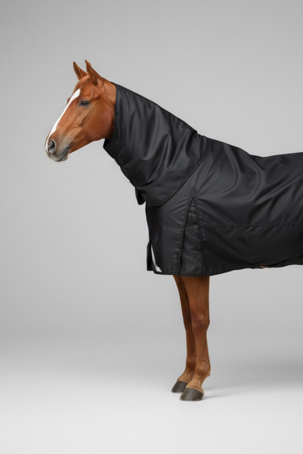 Amiko Performance Outdoor Rug 50G, zwart