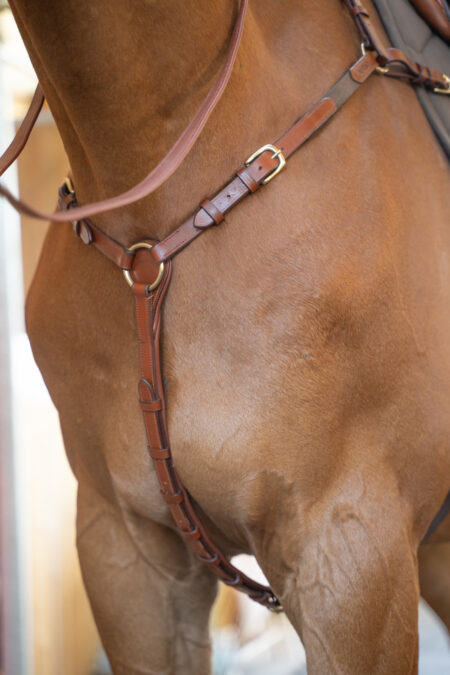 Amiko Bridge Borstplaat, Cognac