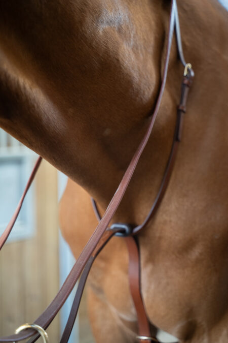 Amiko Martingale Classic, Cognac