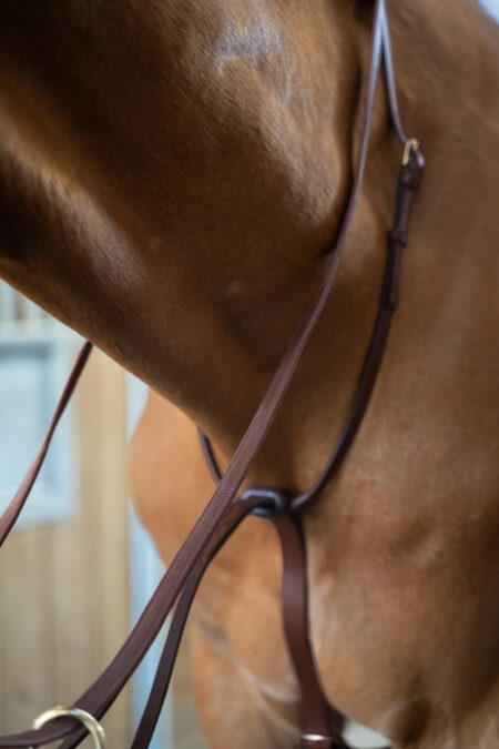 Amiko Martingale Classic, Havana Brown