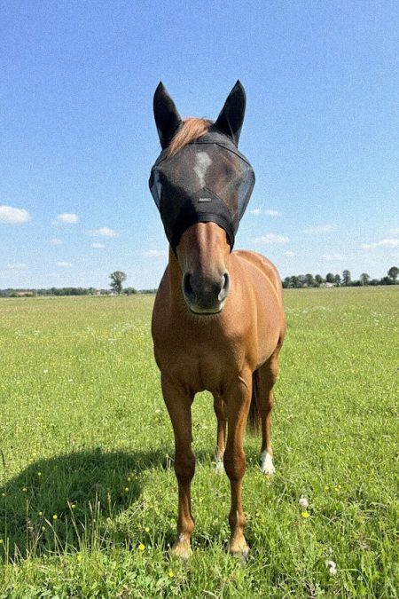 Amiko Flymask Soundless, Schwarz