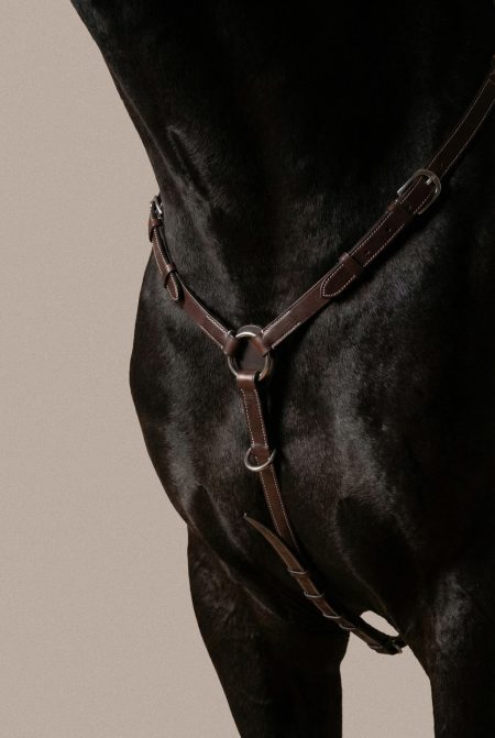 Goyer Sellier Brustpanzer Klassisch, Braun