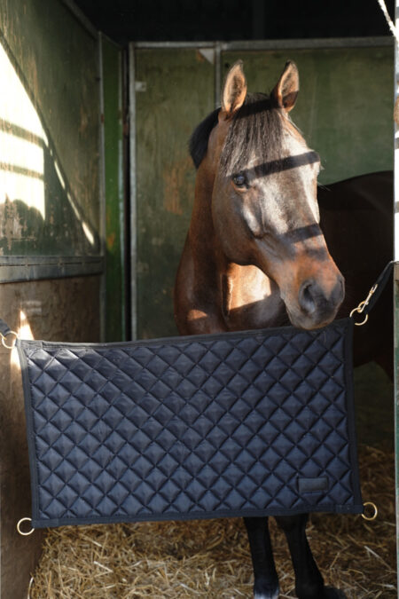 Amiko Stallwächter, Schwarz