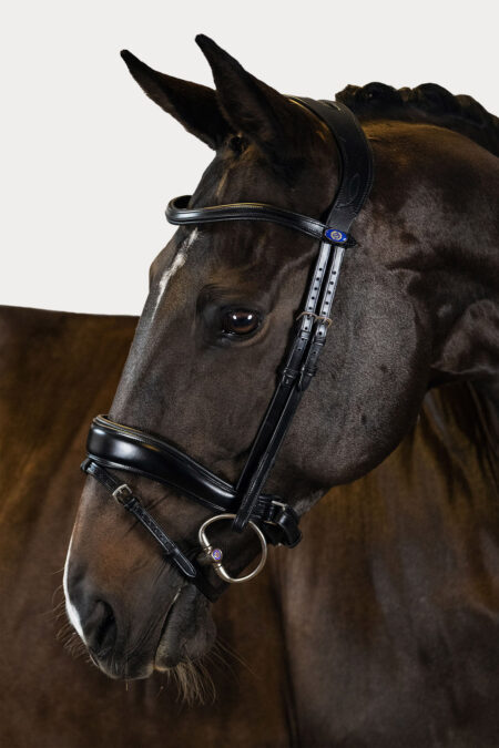 PS von Schweden, Zaumzeugfliegerwechsel, schwarzes Leder