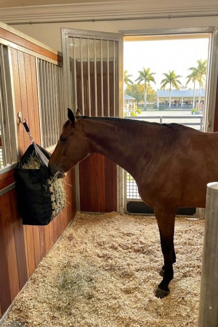 Amiko hooizakvoederbak, zwart