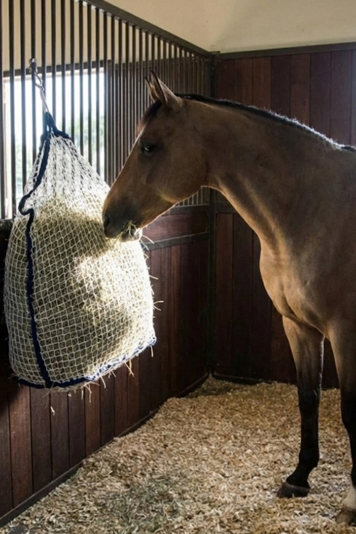 Amiko Hay Net Feeder, Black