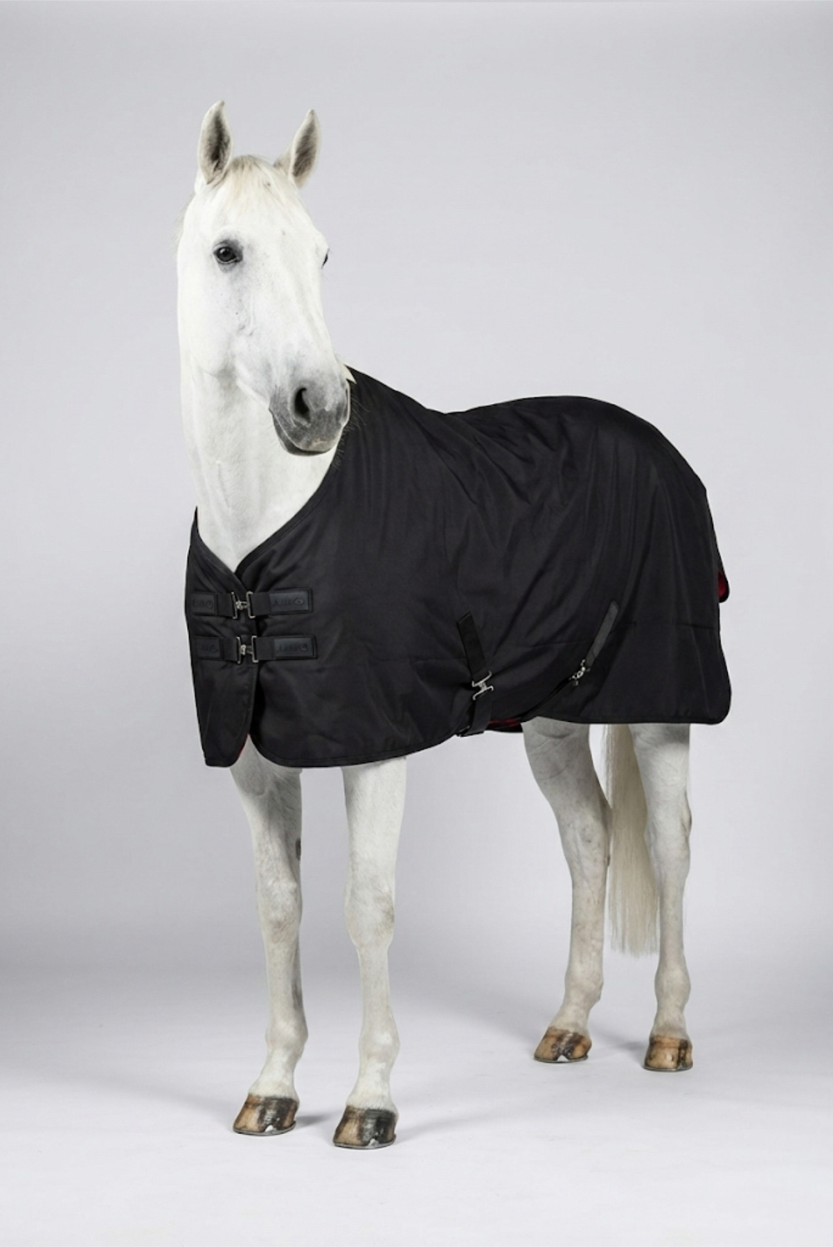 Amiko Infrared Therapy Rug 50g, Black