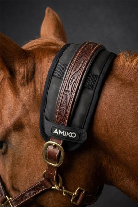 Amiko Magnetic Poll Band, Black