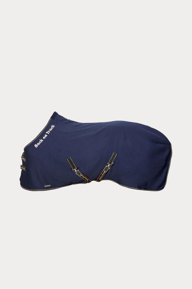 Back on Track, Quick Cooler Sweat Rug, Blue