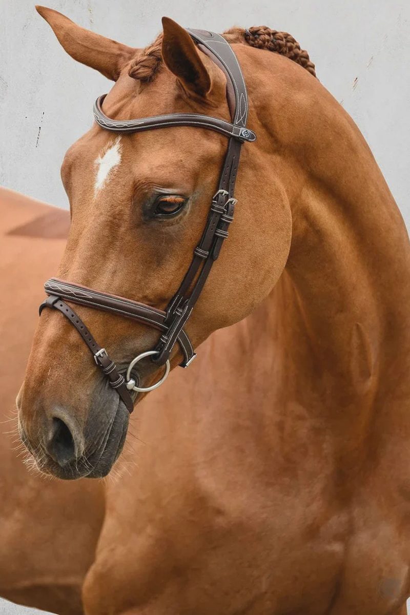 Ps of Sweden, Bridle Stockholm, Brown