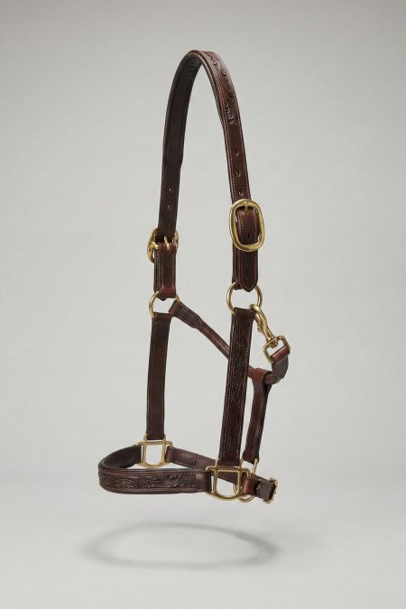 Navaros, Western Halter, Havana Brown