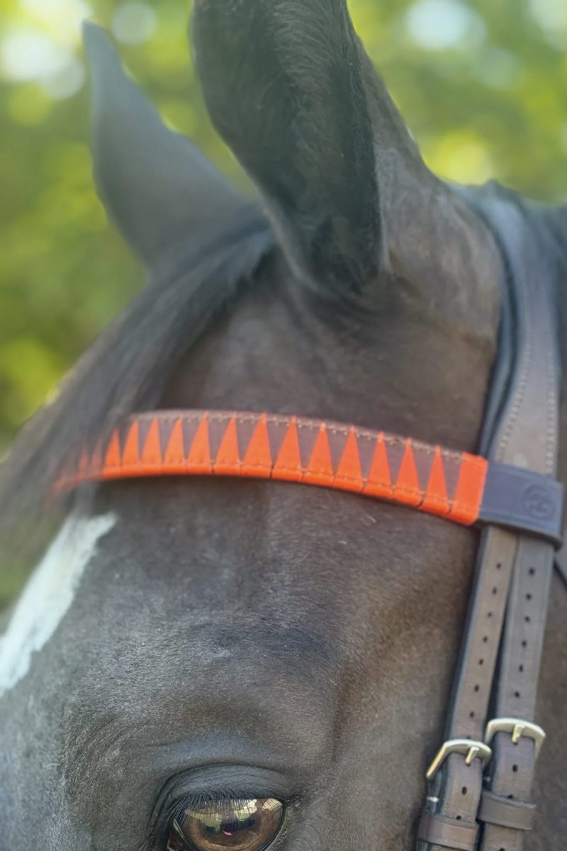 Get The Gallop, Sharktooth Browband, Leather Orange/Brown
