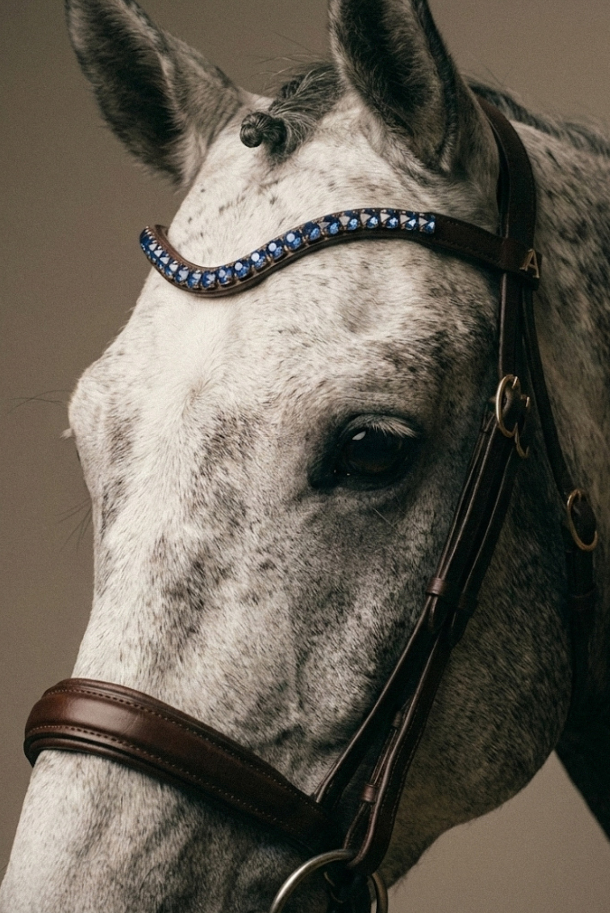 Amiko Browband Crystal Ocean Blue Bent, Havana Brown