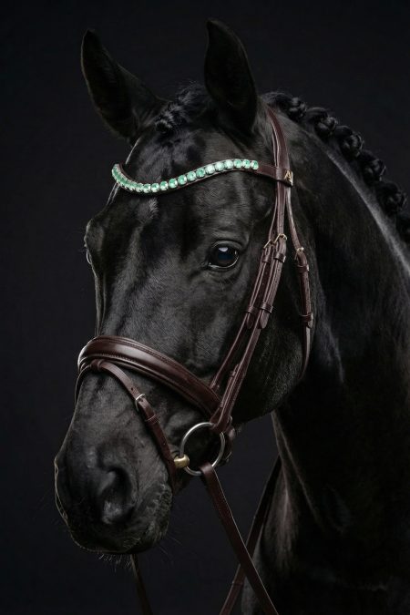 Amiko Frontriem Crystal Mintgroen Gebogen, Havana Bruin