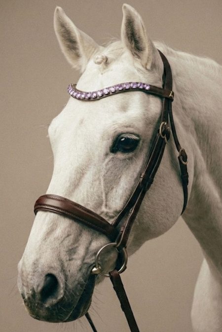 Amiko Stirnband Crystal Lavender Bent, Havana Brown