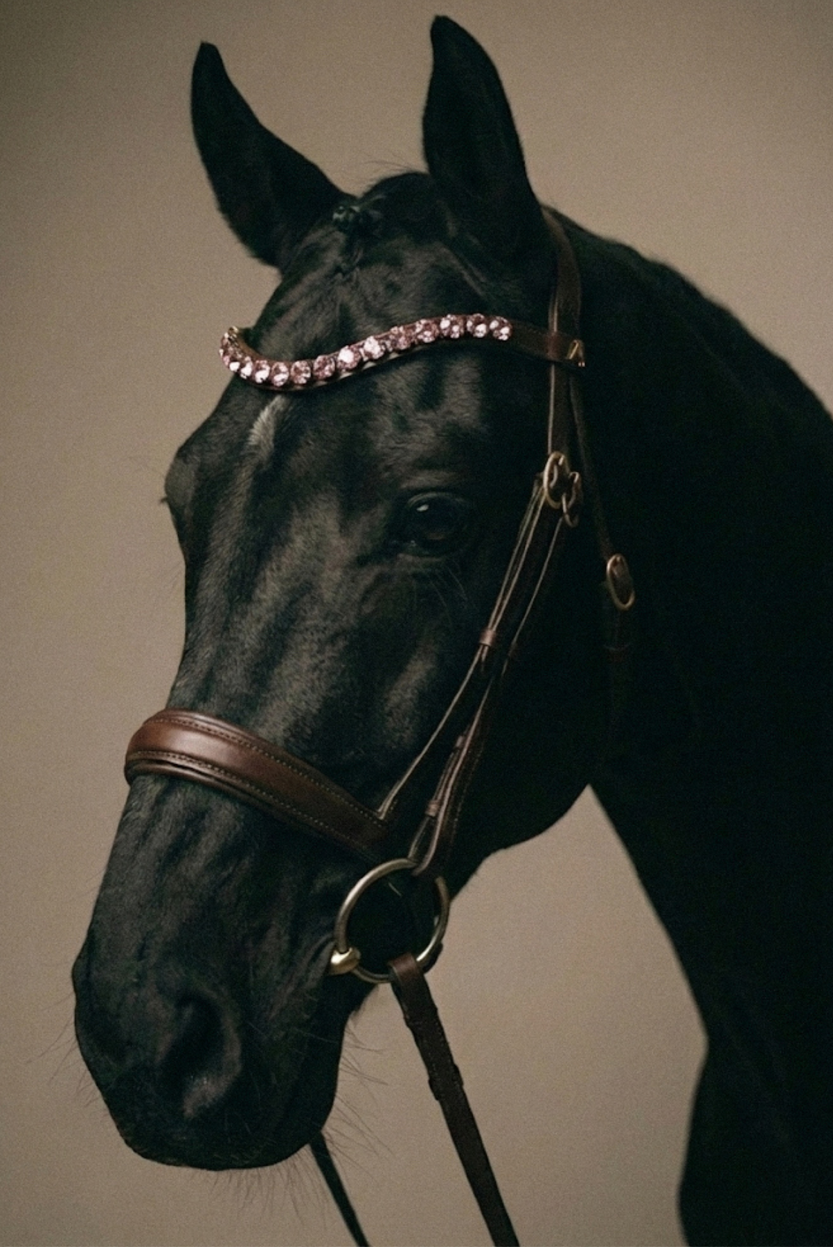 Amiko Browband Crystal Baby Pink Bent, Havana Brown