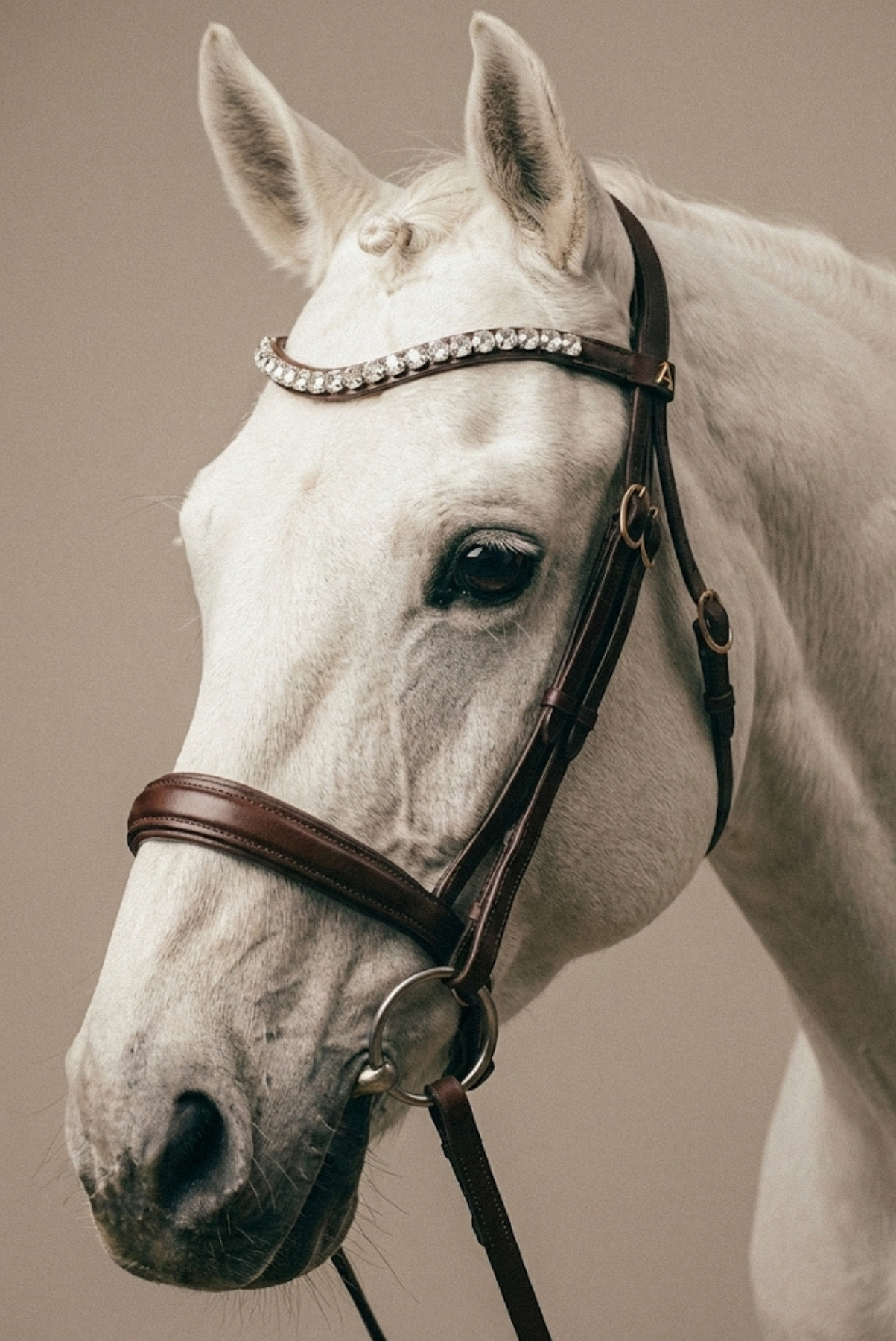 Amiko Browband Crystal Diamond Bent, Havana Brown