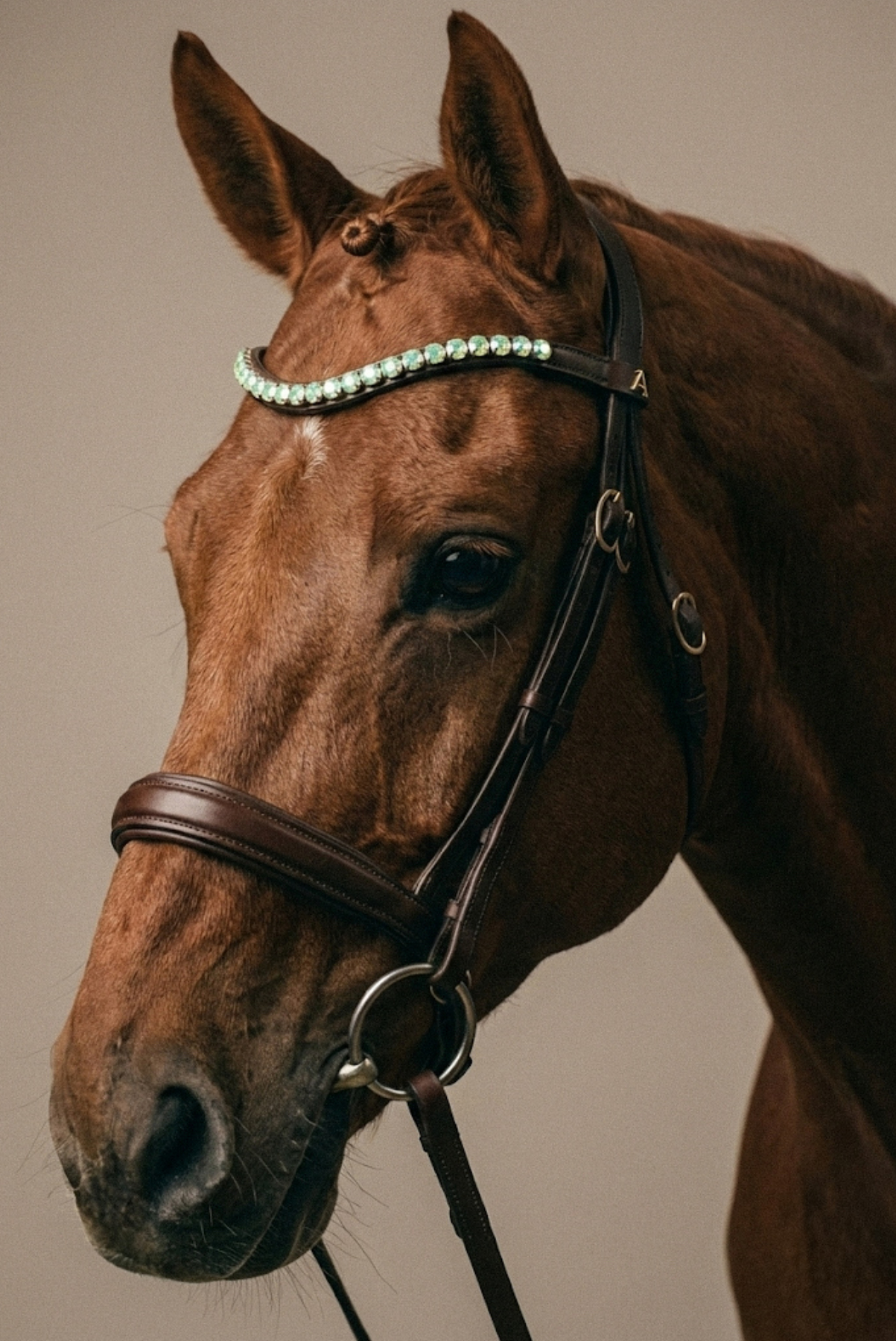 Amiko Browband Crystal Mint Green Bent, Havana Brown