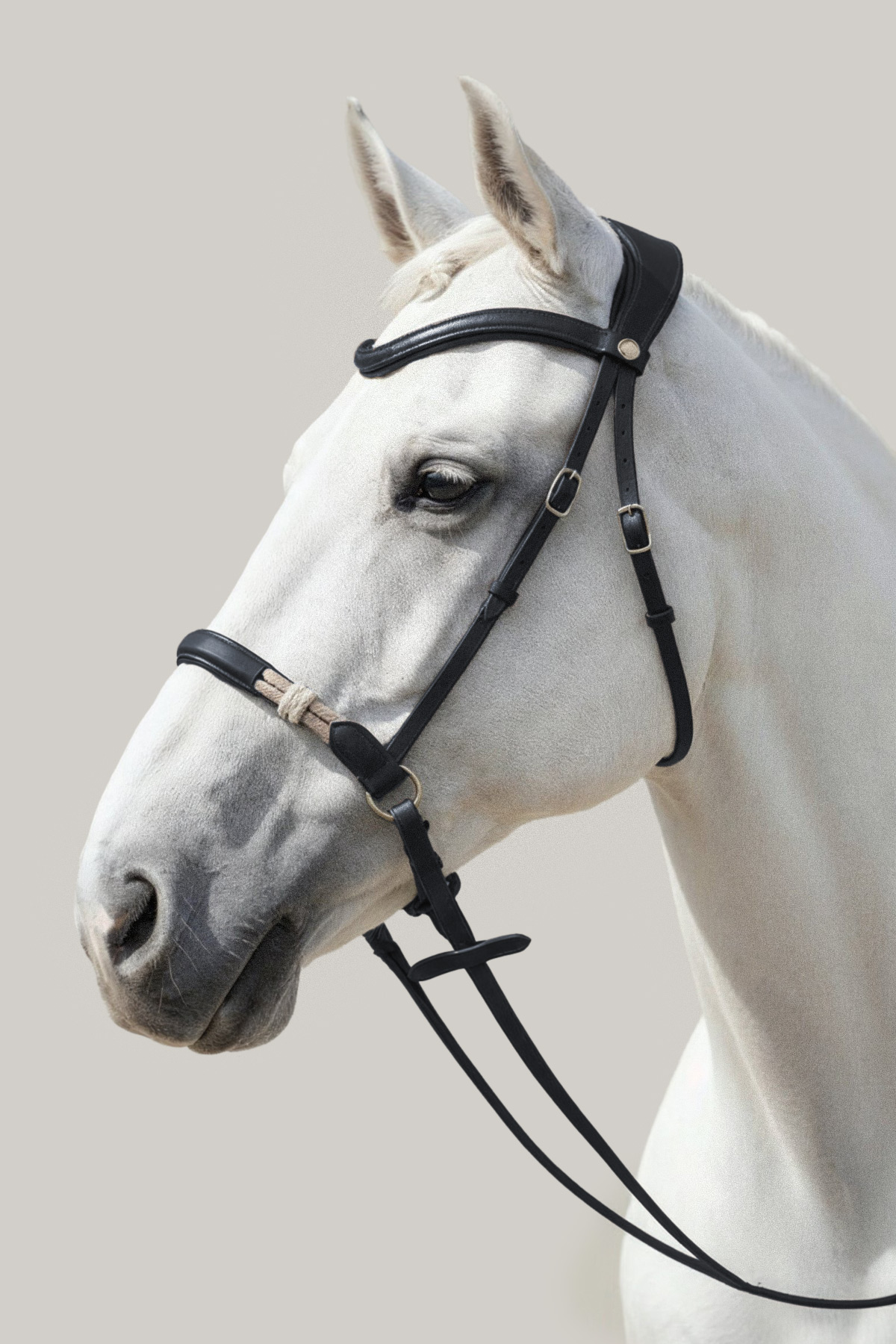 Amiko Freedom Bridle, Black