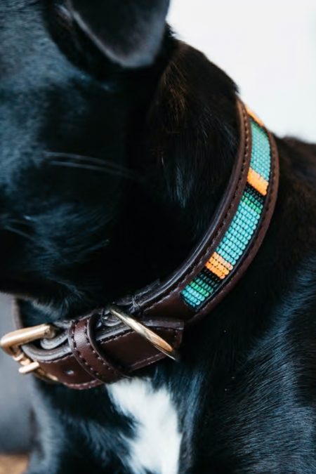 Kentucky, handgefertigtes Hundehalsband mit Perlen, Blau