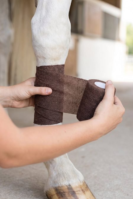 Amiko Vet Wraps, Brown