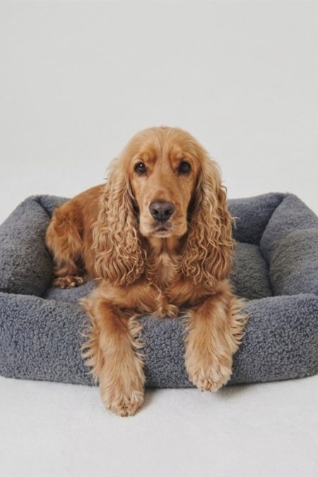 Amiko Dog Bed Teddy