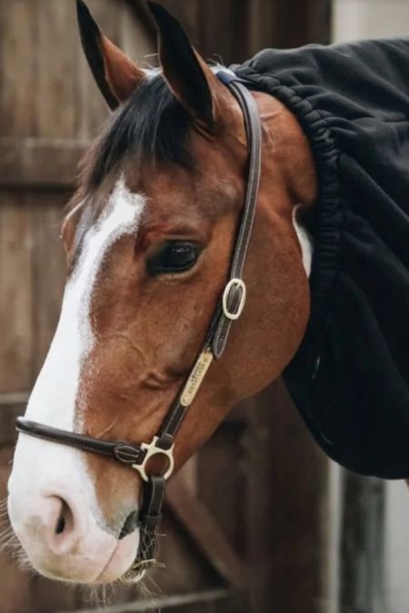 Kentucky, Cooler Fleece Pferdeschal, Schwarz