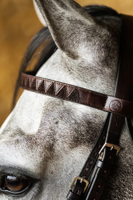 Get The Gallop, Sharktooth Browband Leather/Mocca, Dark Brown