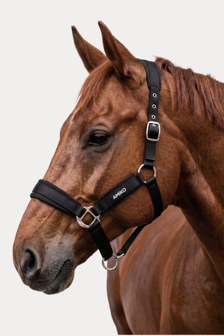 Amiko Classic Infrared Halter, Black