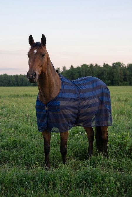 Back On Track, Cool on Track Horse Rug,